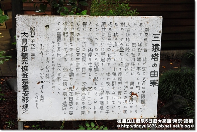 高雄-八岳51.JPG