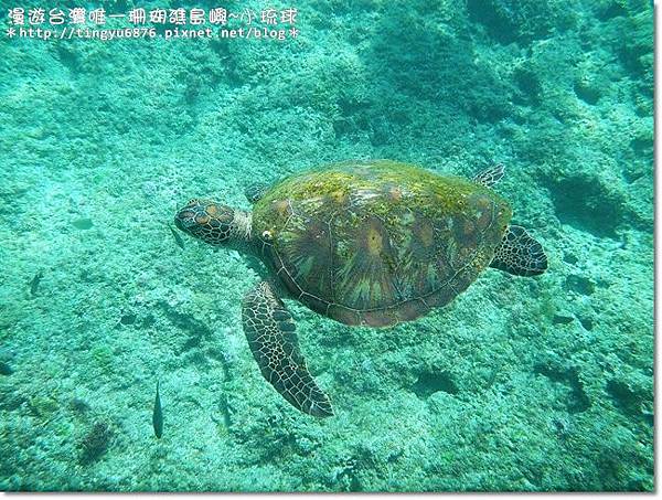 小琉球98.JPG