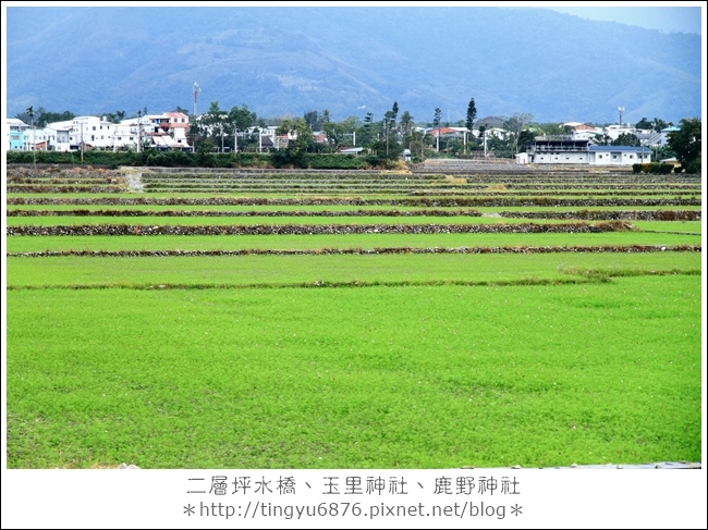 二層坪水橋17.JPG