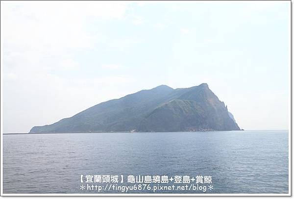 龜山島賞鯨21.JPG