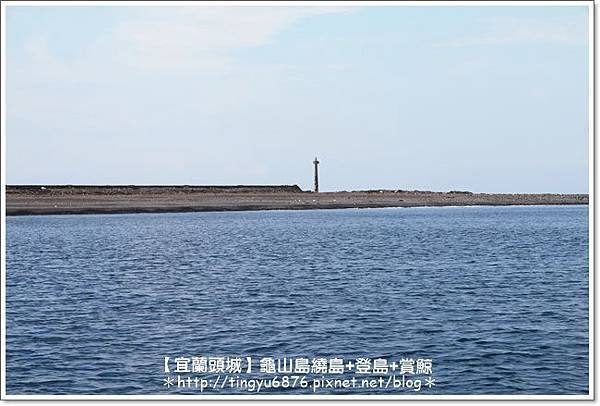 龜山島賞鯨66.JPG