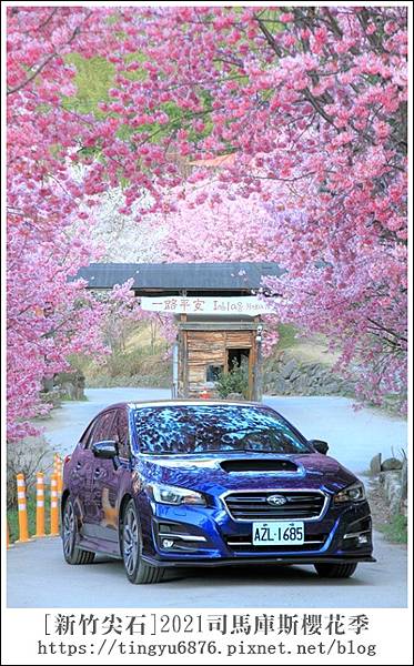 2021司馬庫斯櫻花季59.JPG