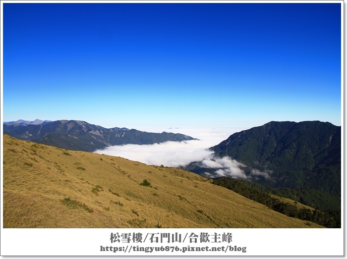 合歡山35.JPG