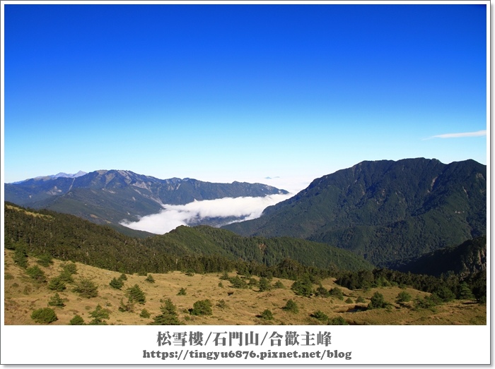 合歡山62.JPG