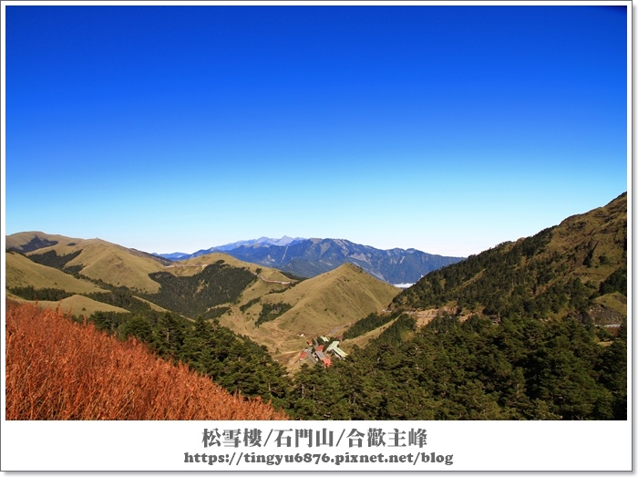 合歡山73.JPG