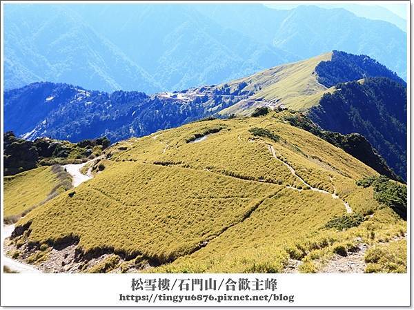 合歡山141.JPG