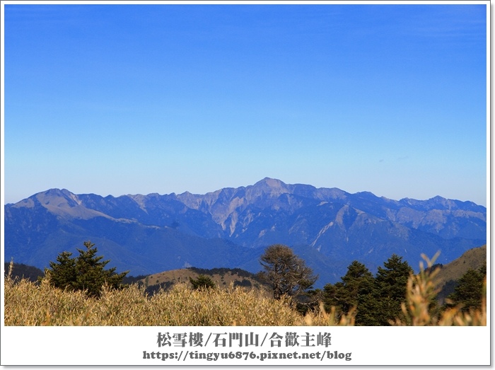 合歡山156.JPG