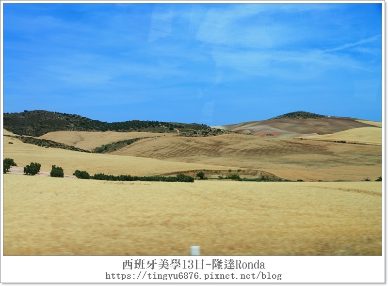 隆達02.JPG 隆達02.JPG