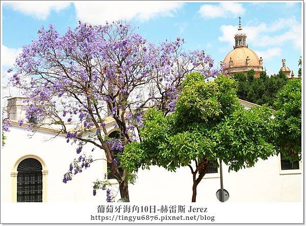赫雷斯143.JPG