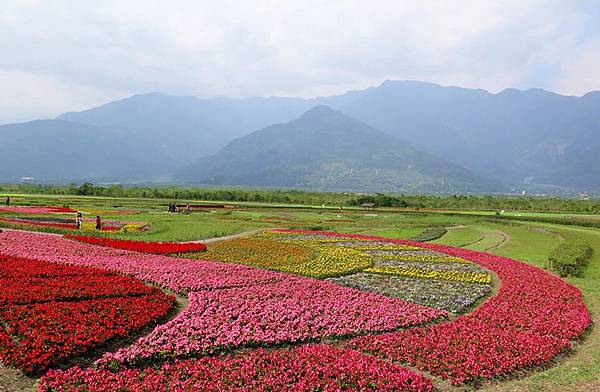 花蓮花海29.JPG