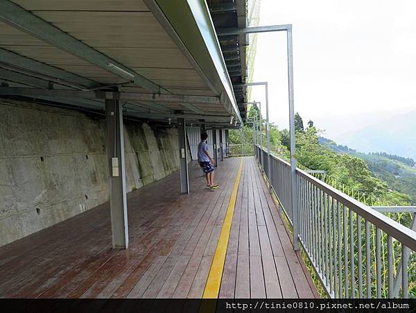 花家果園56.JPG