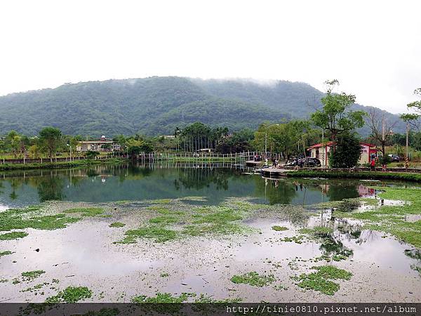 雷公埤烤魚25.JPG 雷公埤烤魚25.JPG