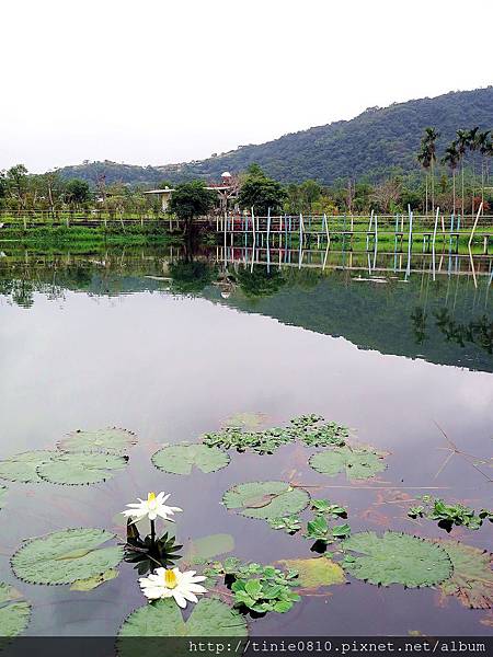 雷公埤烤魚28.JPG 雷公埤烤魚28.JPG