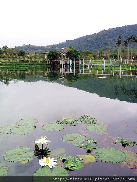 雷公埤烤魚28.JPG