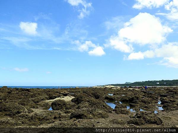 台東富山杉原67.JPG