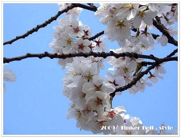 7PrC_gk4uh.21Jz28Sz1uw.jpg 7PrC_gk4uh.21Jz28Sz1uw.jpg