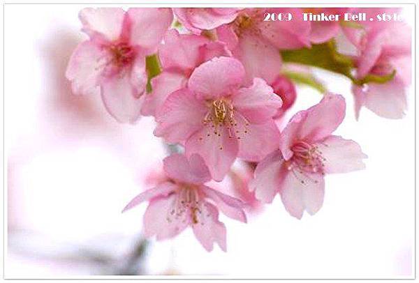 7jF9dG.whzvxDI9mKoVv4A.jpg 7jF9dG.whzvxDI9mKoVv4A.jpg