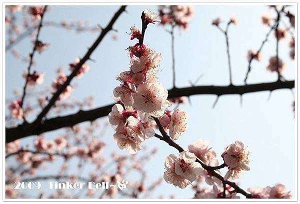 32_B3uwRtDWDnNXXWrat4Q.jpg 32_B3uwRtDWDnNXXWrat4Q.jpg