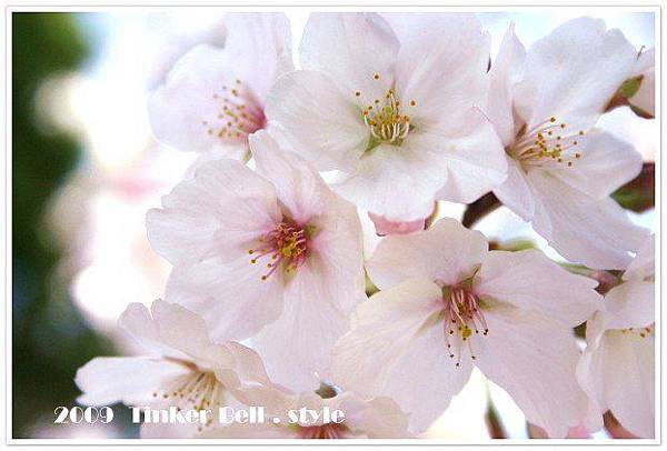 llR_gt_IEQ1lnTVlV6rhqQ.jpg llR_gt_IEQ1lnTVlV6rhqQ.jpg