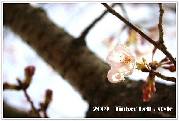 rVy9tVNHVbSmX7v.MTJhqA.jpg rVy9tVNHVbSmX7v.MTJhqA.jpg