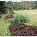 納美花園，陽明山，無菜單料理，蔬食料理，素菜