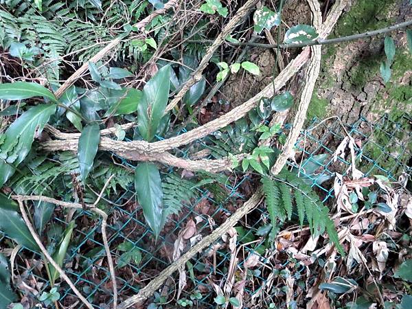 國家公園護照、與山海對話、國家公園週、活動護照國家公園護照、與山海對話、國家公園週、活動護照