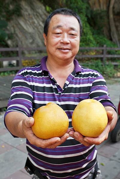 南庄、台灣好行、南江休閒農業區、鱒魚大餐、洛神花、海賊王、南庄老街、客家菜、