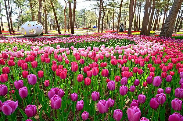 日本茨城常陸海濱花園