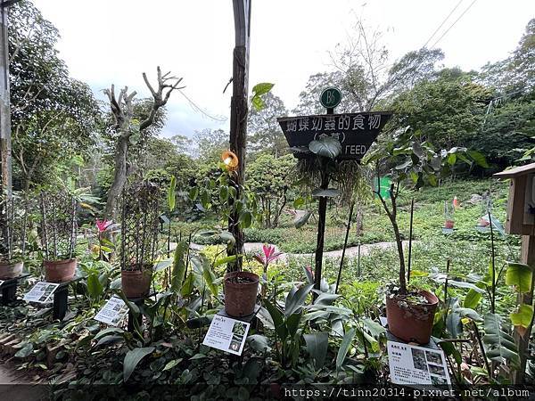 新竹北埔/亞洲最大最豐富的亞熱帶雨林生態園~綠世界生態農場