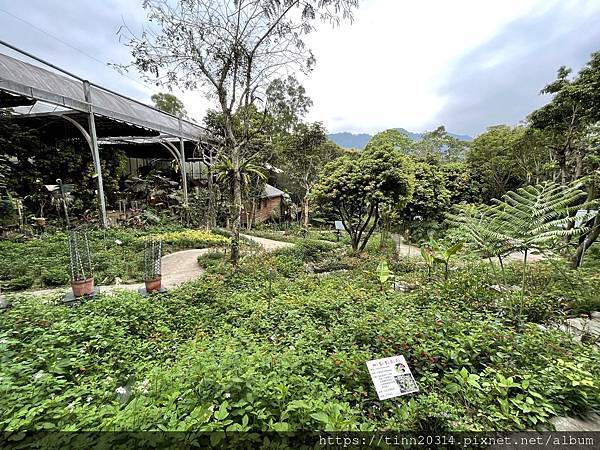 新竹北埔/亞洲最大最豐富的亞熱帶雨林生態園~綠世界生態農場