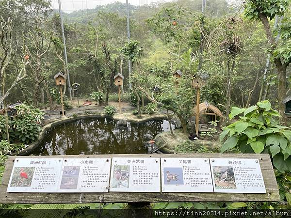 新竹北埔/亞洲最大最豐富的亞熱帶雨林生態園~綠世界生態農場