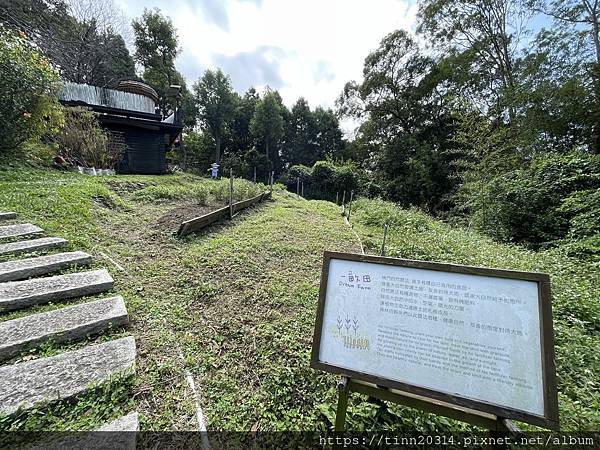 新竹一日遊/薰衣草森林、數碼天空、內灣老街