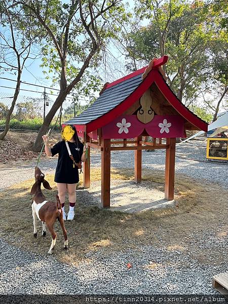 嘉義/可愛動物超親近!叢林冒險當泰山~大人小孩都適合，咩咩上