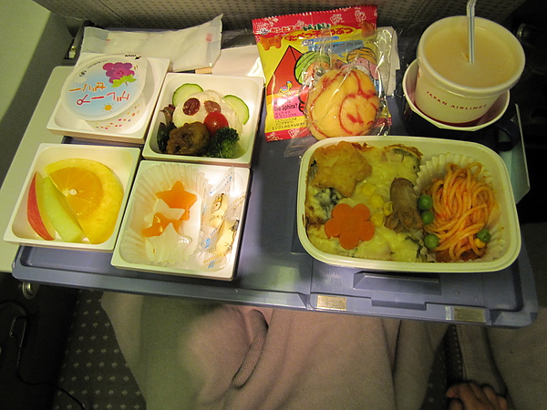 回台灣的飛機餐小紅莓的~~兒童餐.JPG