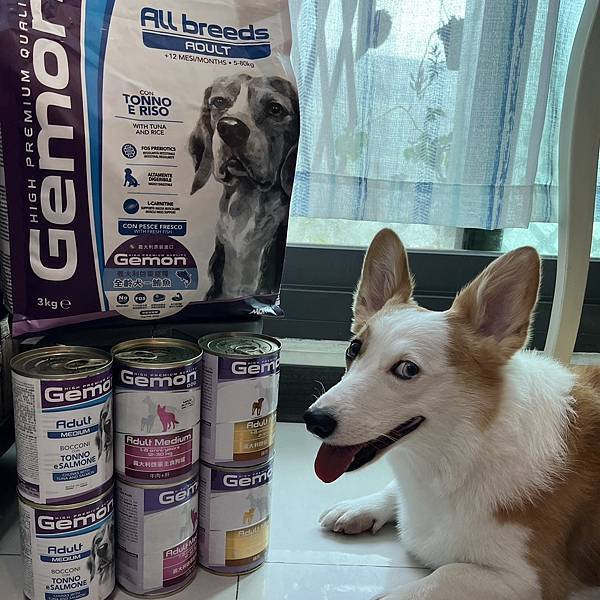 Gemon義大利低敏寵物飼料開箱&柯基米亞開吃(品果國際)