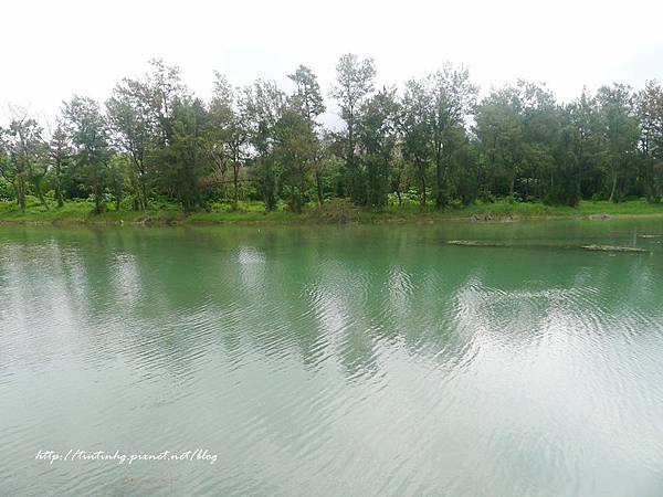 台東森林公園