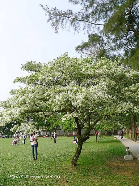 春天賞花一日遊