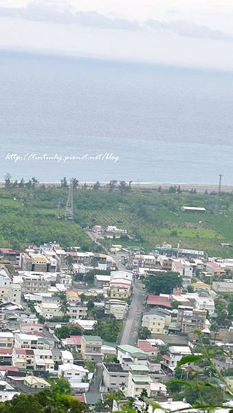 金針山