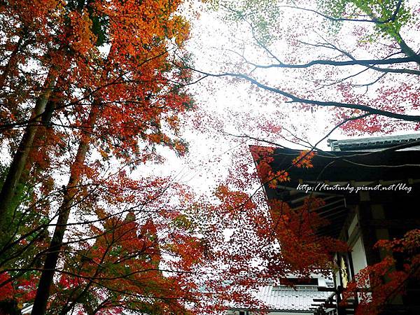 大原三千院