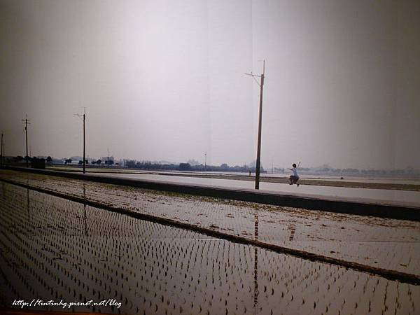 川島小鳥