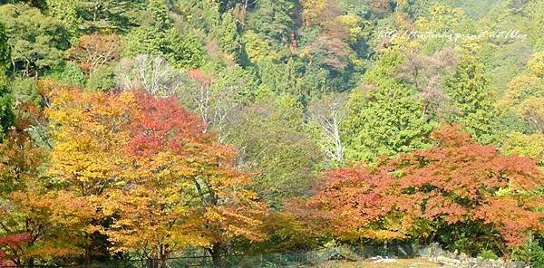 高雄神護寺