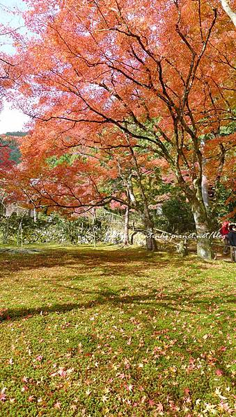 高雄神護寺