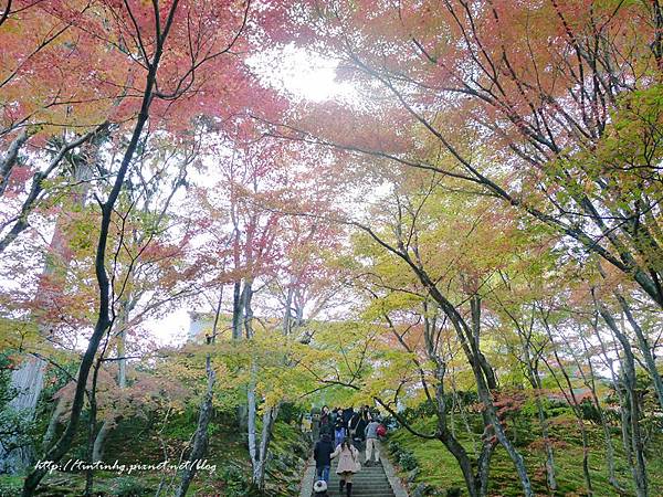 嵐山 常寂光寺