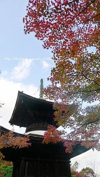 嵐山 常寂光寺