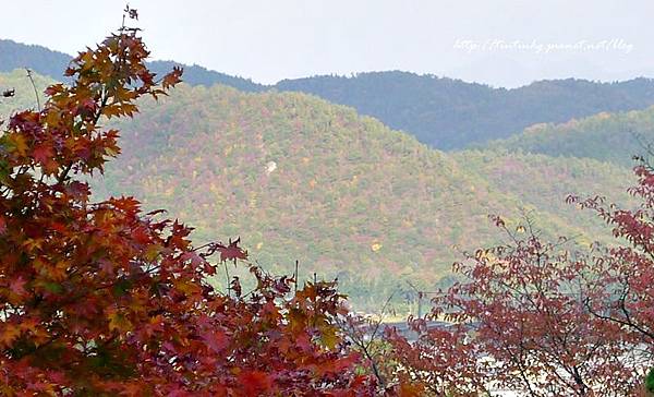 嵐山 常寂光寺