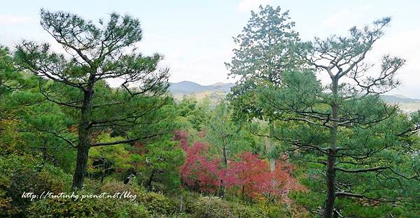 嵐山 常寂光寺