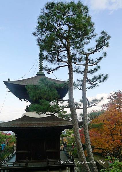 嵐山 常寂光寺