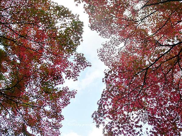 嵐山 常寂光寺