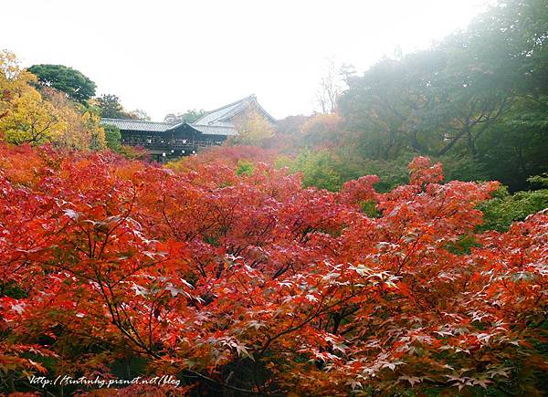 東福寺