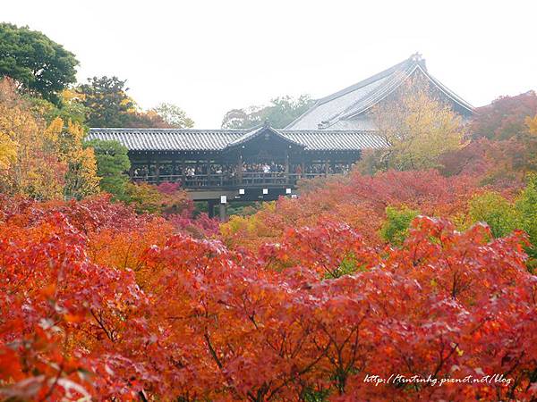 東福寺